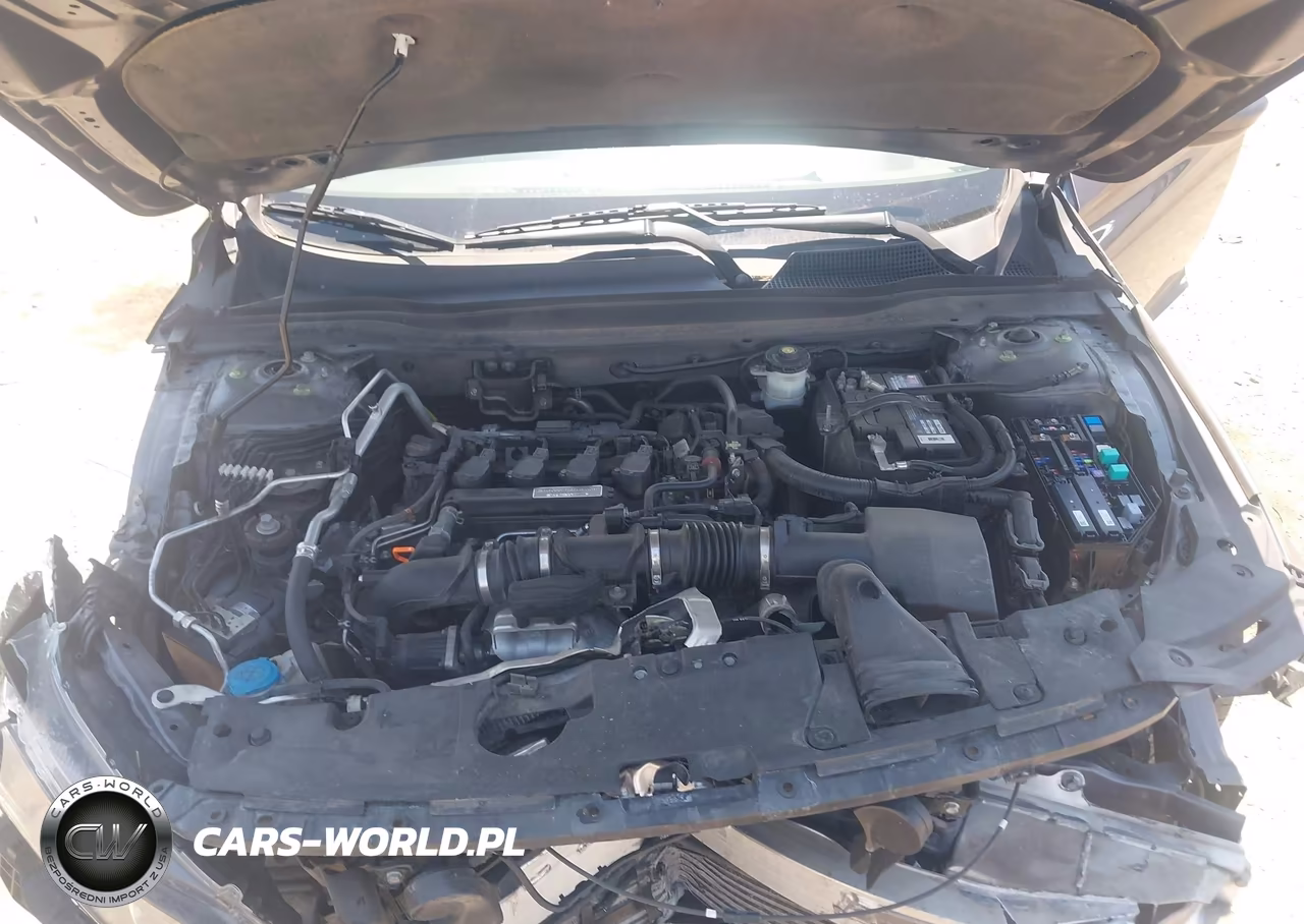 2019 Honda Accord Lx VIN:1HGCV1F15KA083492 - 10
