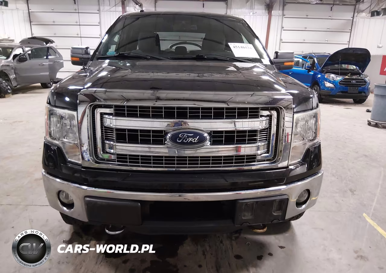 2013 Ford F-150 Xlt VIN:1FTFX1ET3DFB58396 - 12