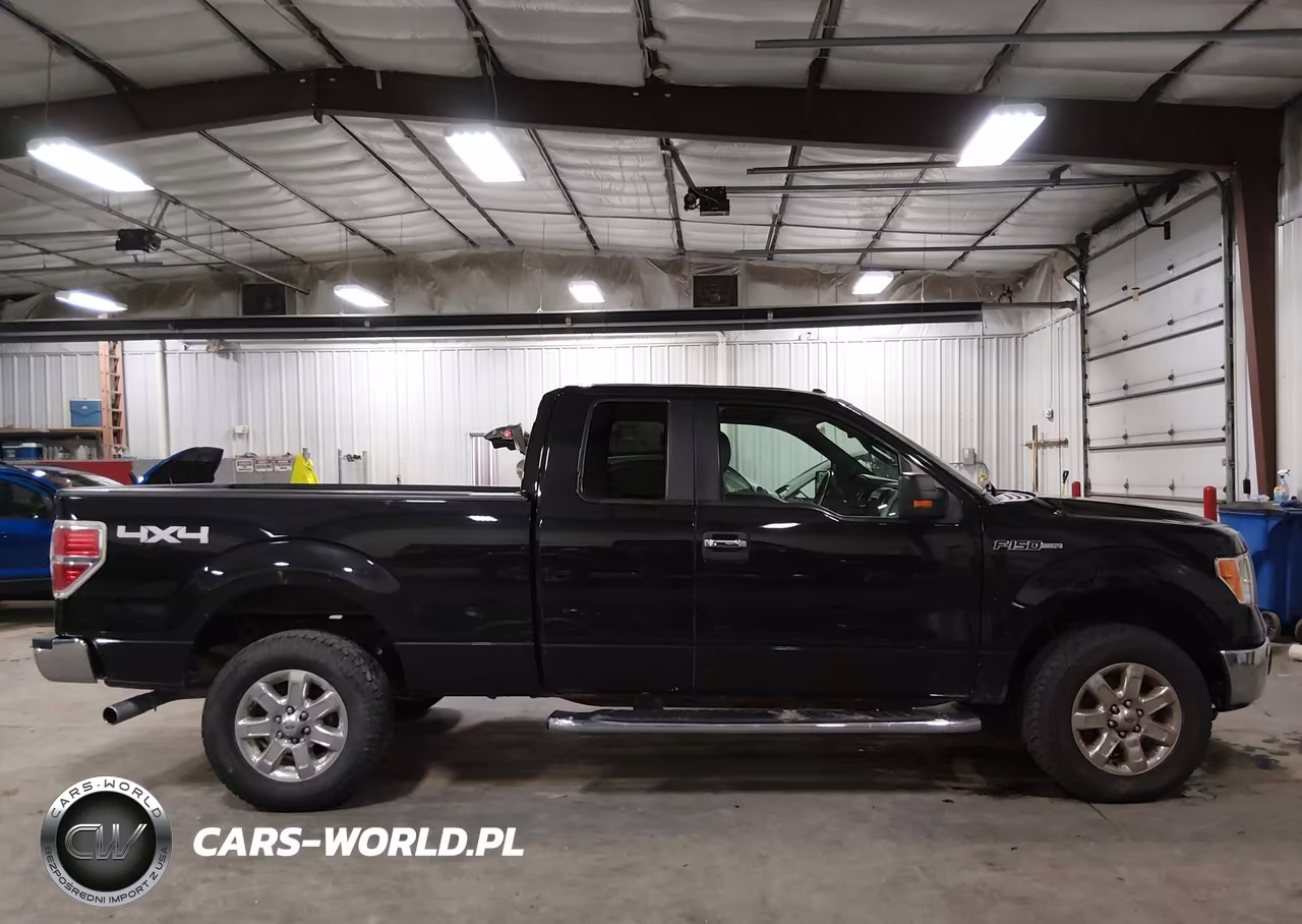 2013 Ford F-150 Xlt VIN:1FTFX1ET3DFB58396 - 13