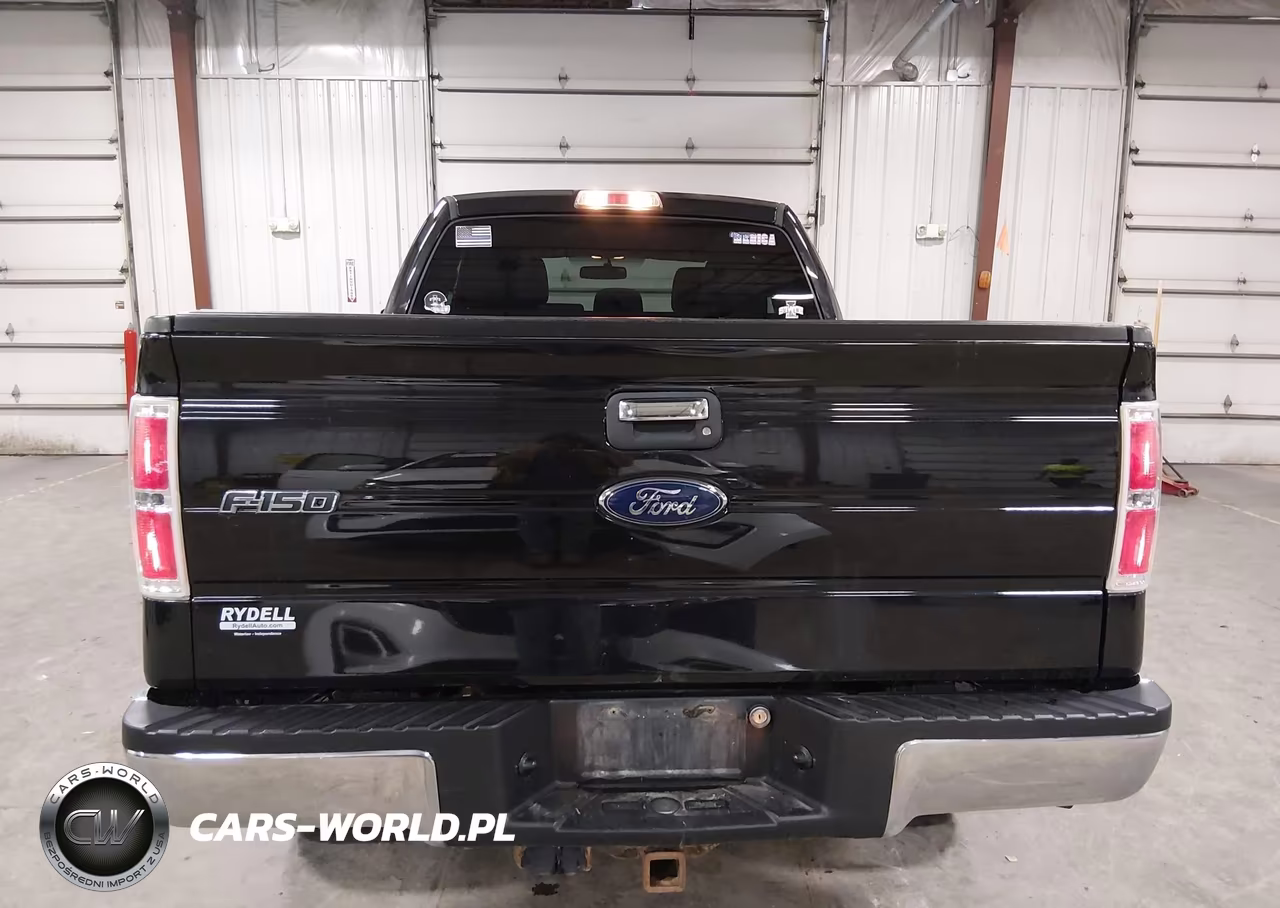 2013 Ford F-150 Xlt VIN:1FTFX1ET3DFB58396 - 16