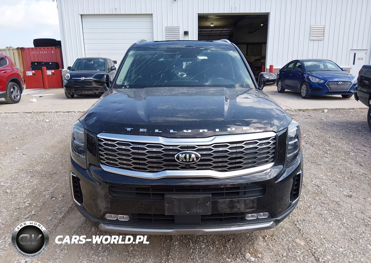 2021 Kia Telluride Sx VIN:5XYP54HC1MG134067 - 12