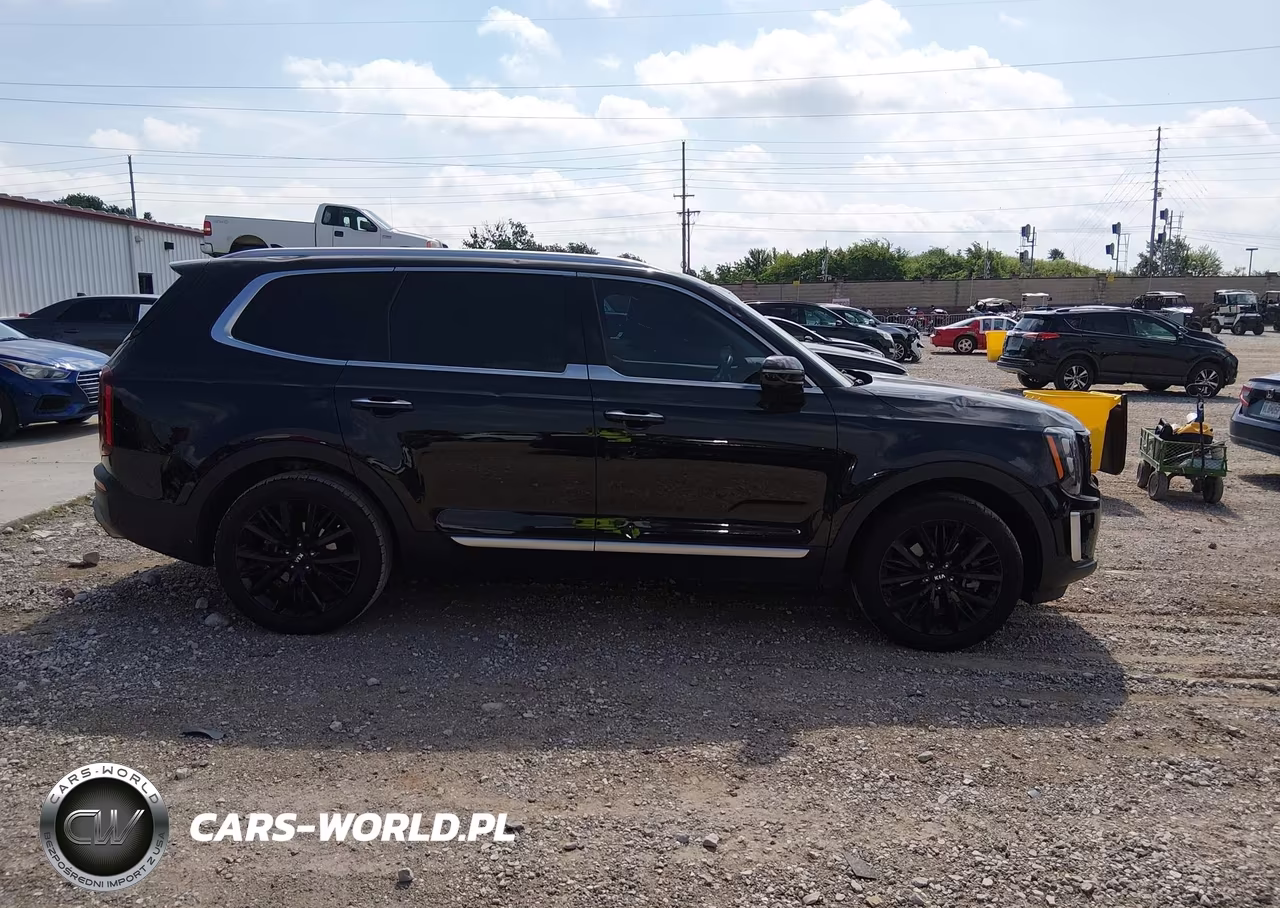 2021 Kia Telluride Sx VIN:5XYP54HC1MG134067 - 13