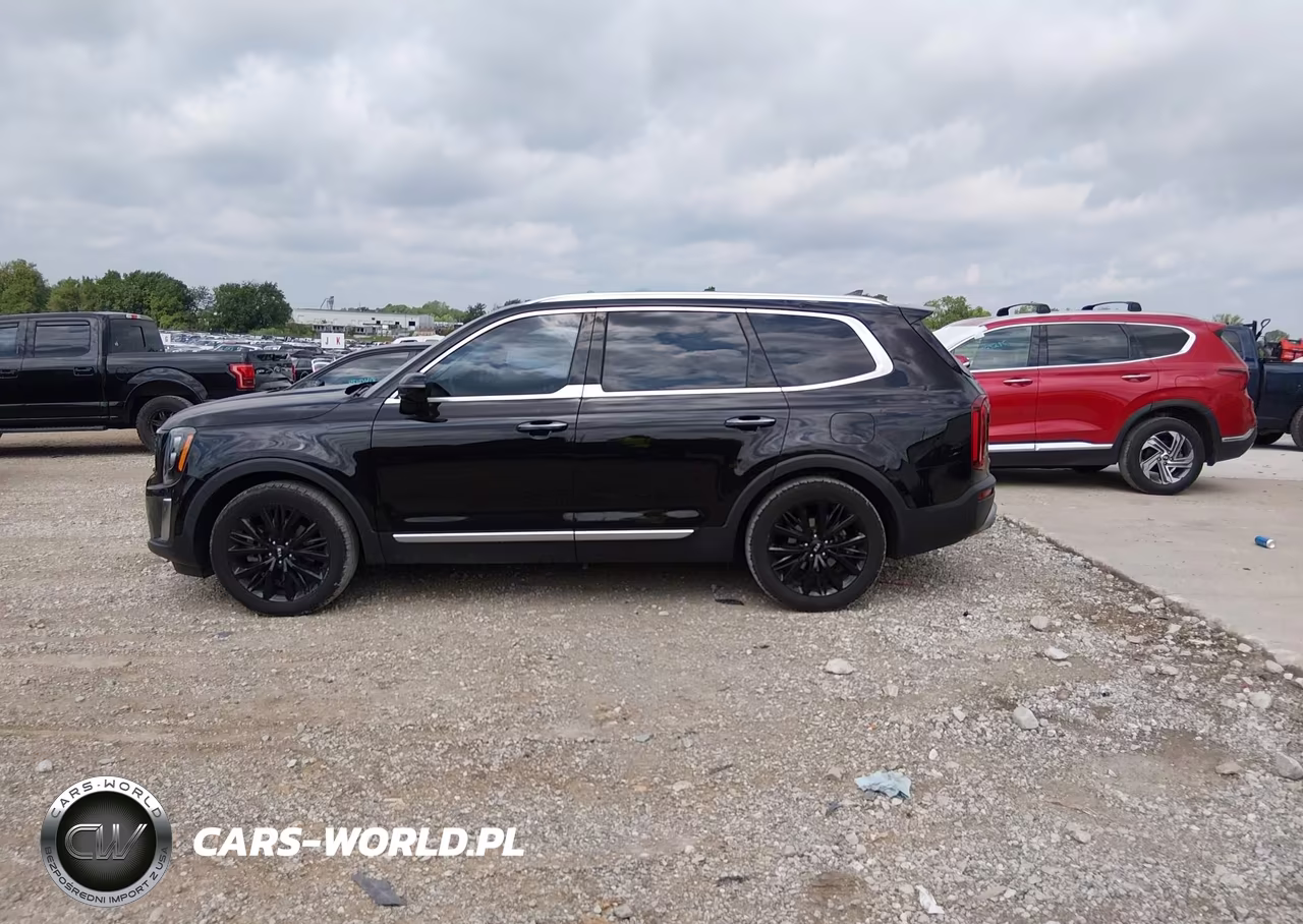 2021 Kia Telluride Sx VIN:5XYP54HC1MG134067 - 14