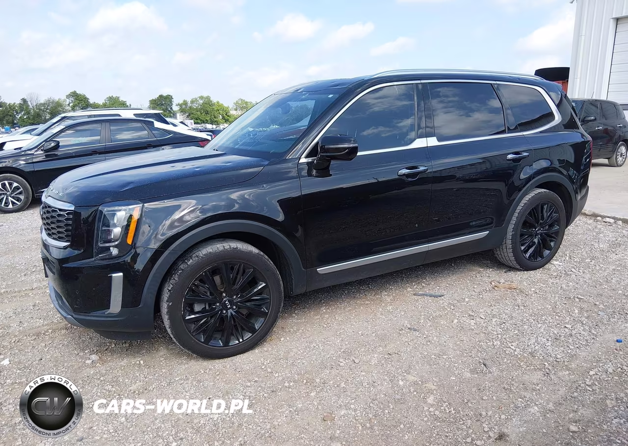 2021 Kia Telluride Sx VIN:5XYP54HC1MG134067 - 2