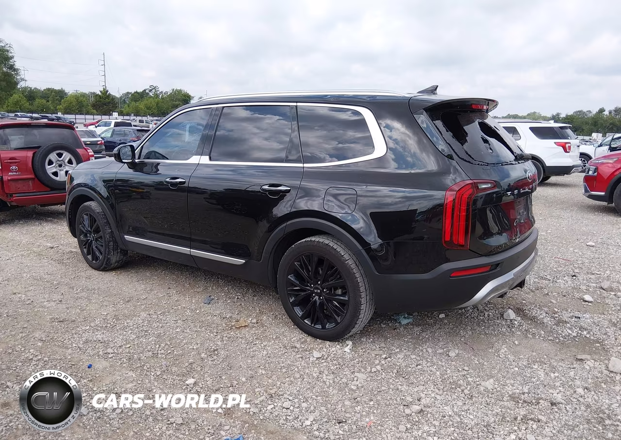 2021 Kia Telluride Sx VIN:5XYP54HC1MG134067 - 3