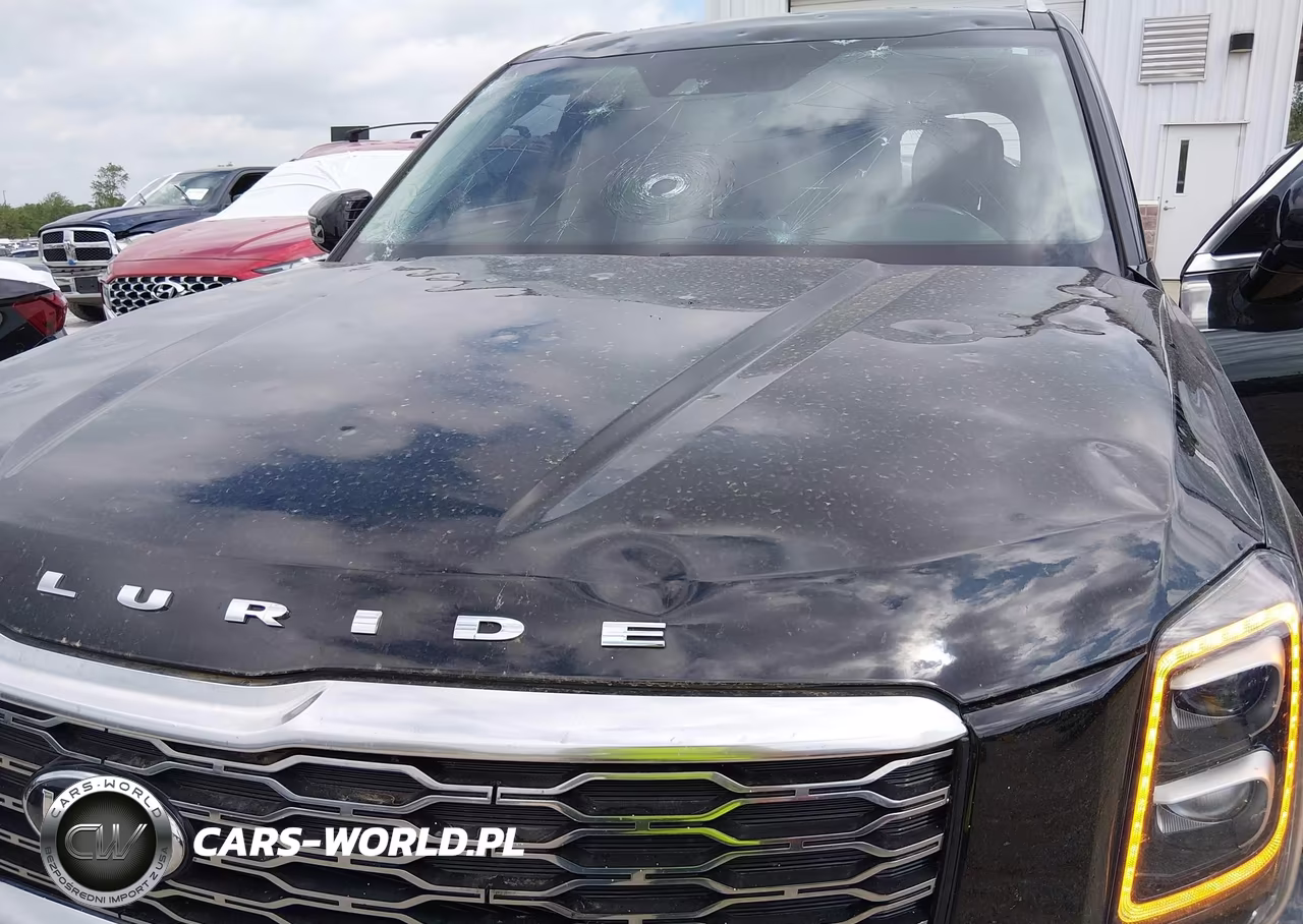 2021 Kia Telluride Sx VIN:5XYP54HC1MG134067 - 6