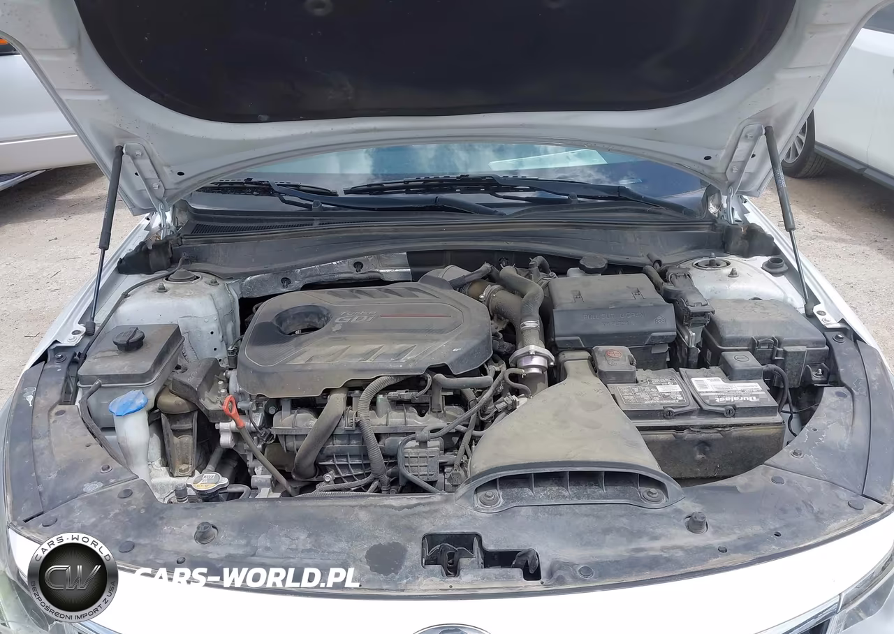 2019 Kia Optima Sx Turbo VIN:5XXGV4L23KG344511 - 10