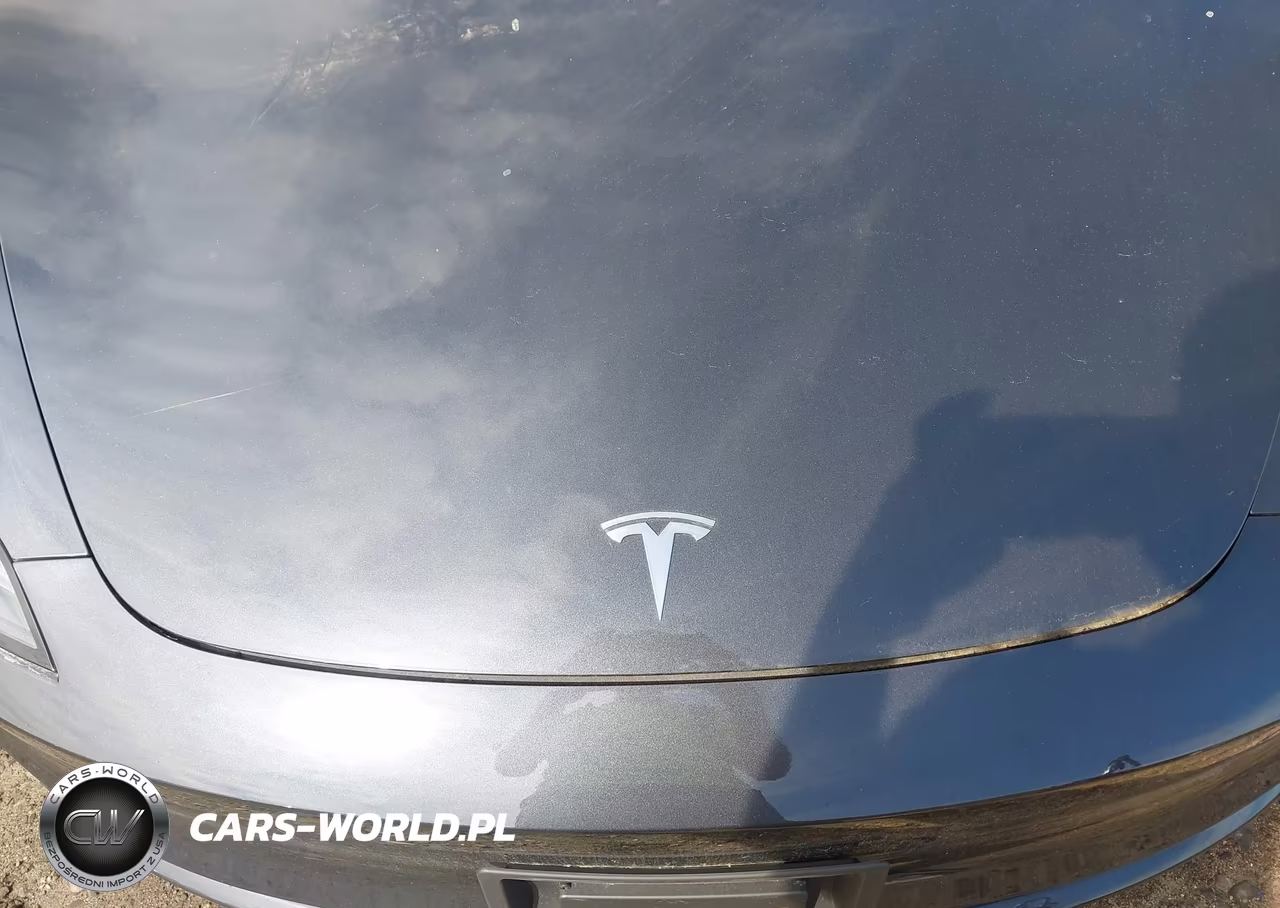 2025 Tesla Model 3 Long Range All-Wheel Drive VIN:5YJ3E1EB1SF022172 - 10