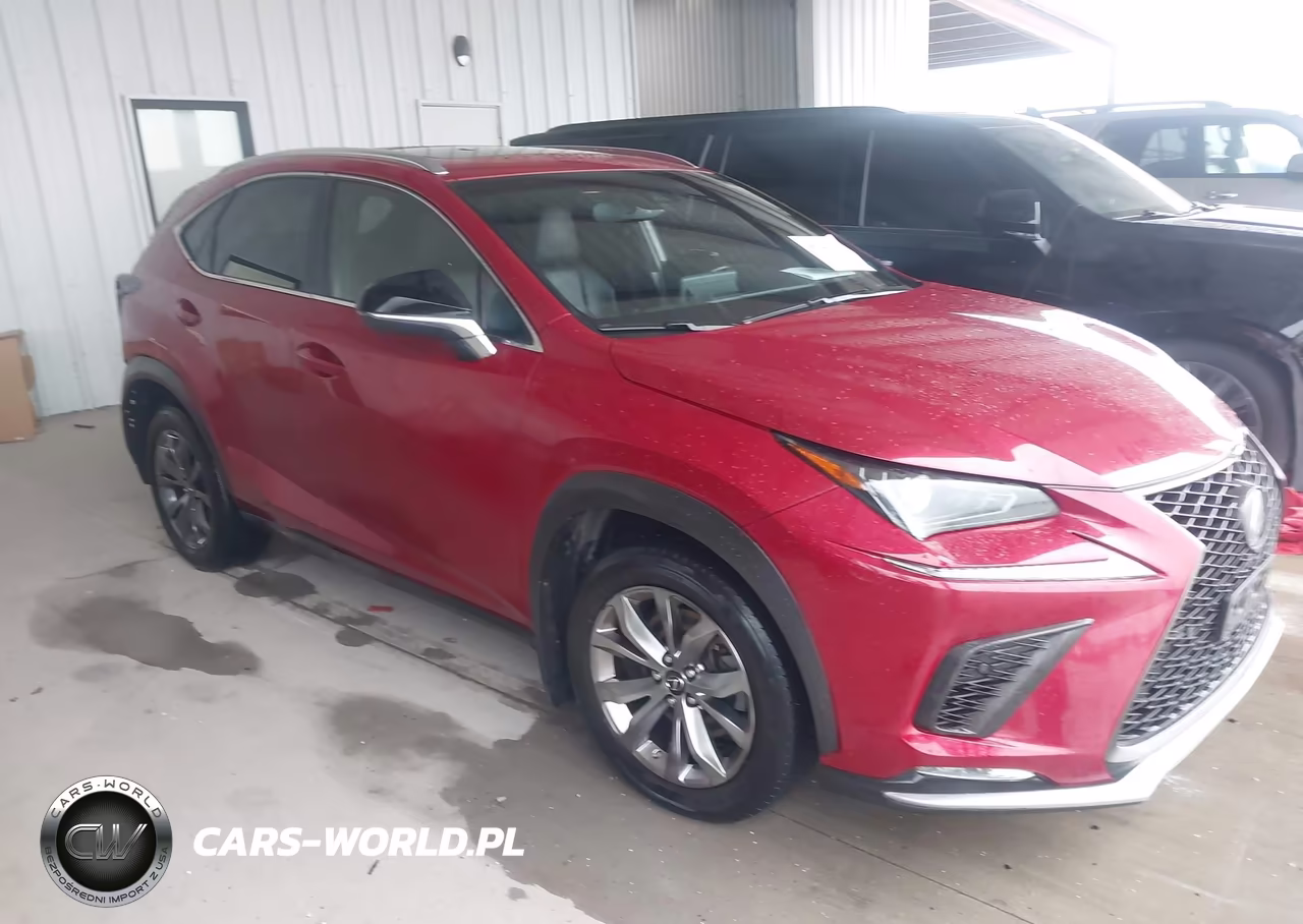2019 Lexus Nx 300 F Sport