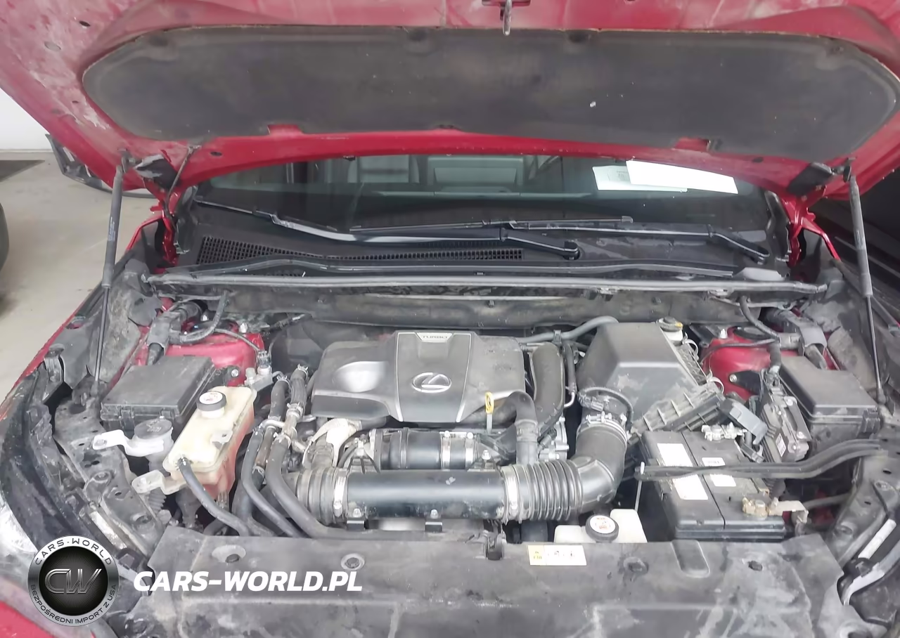 2019 Lexus Nx 300 F Sport VIN:JTJYARBZ5K2127041 - 10