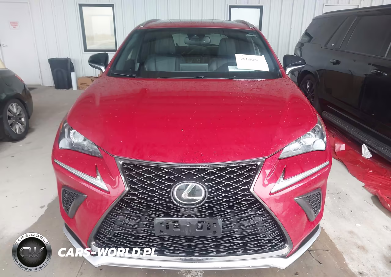 2019 Lexus Nx 300 F Sport VIN:JTJYARBZ5K2127041 - 12