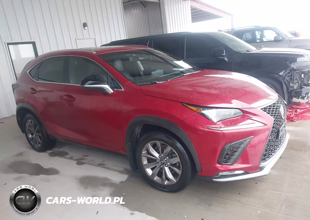 2019 Lexus Nx 300 F Sport VIN:JTJYARBZ5K2127041 - 13