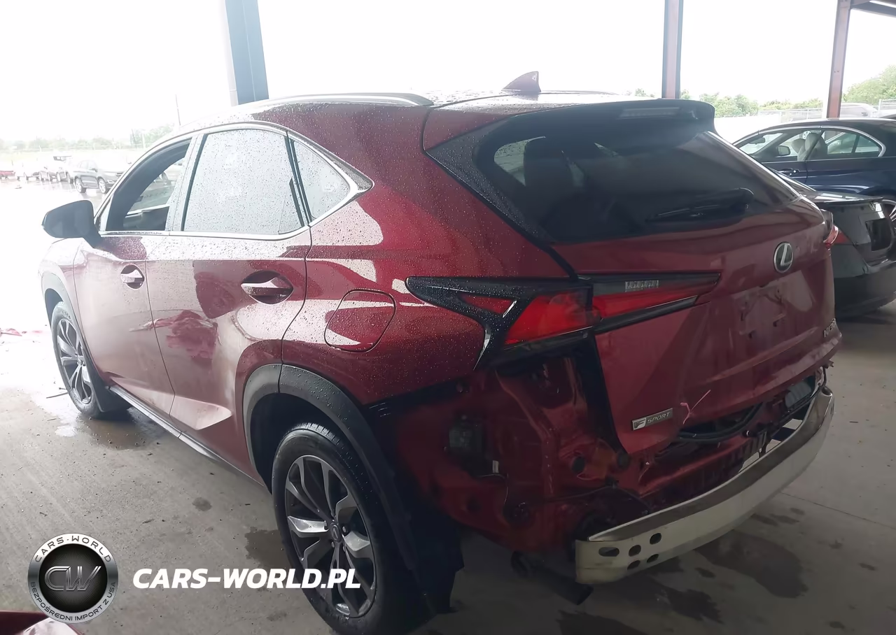 2019 Lexus Nx 300 F Sport VIN:JTJYARBZ5K2127041 - 14