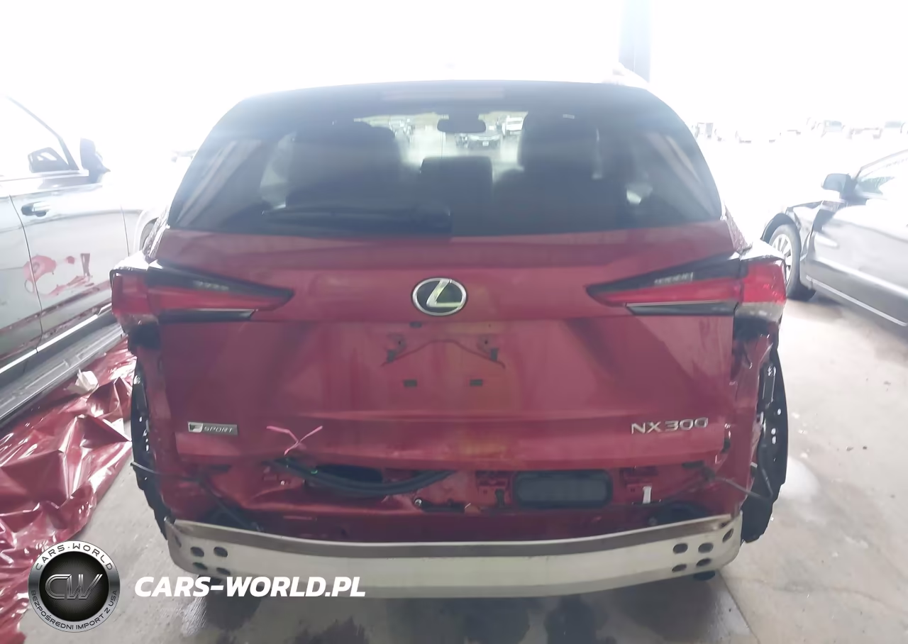 2019 Lexus Nx 300 F Sport VIN:JTJYARBZ5K2127041 - 16