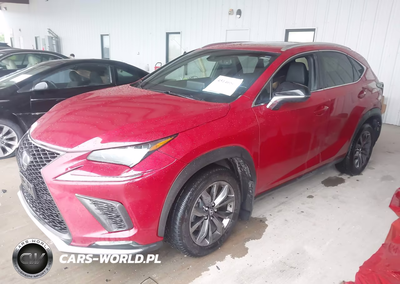 2019 Lexus Nx 300 F Sport VIN:JTJYARBZ5K2127041 - 2