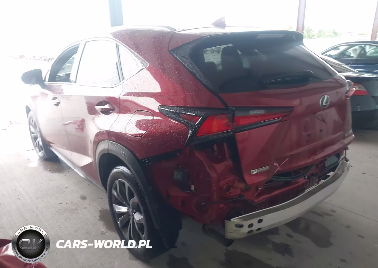 2019 Lexus Nx 300 F Sport VIN:JTJYARBZ5K2127041 - 3