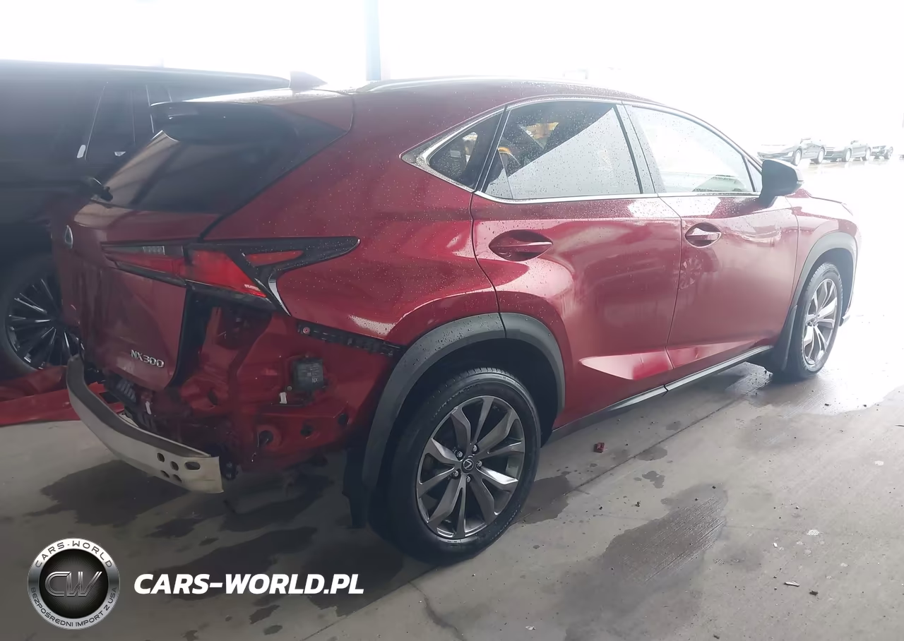 2019 Lexus Nx 300 F Sport VIN:JTJYARBZ5K2127041 - 4