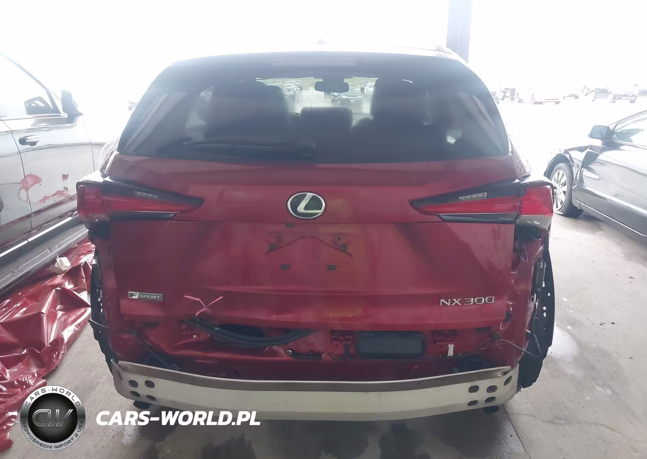 2019 Lexus Nx 300 F Sport VIN:JTJYARBZ5K2127041 - 6