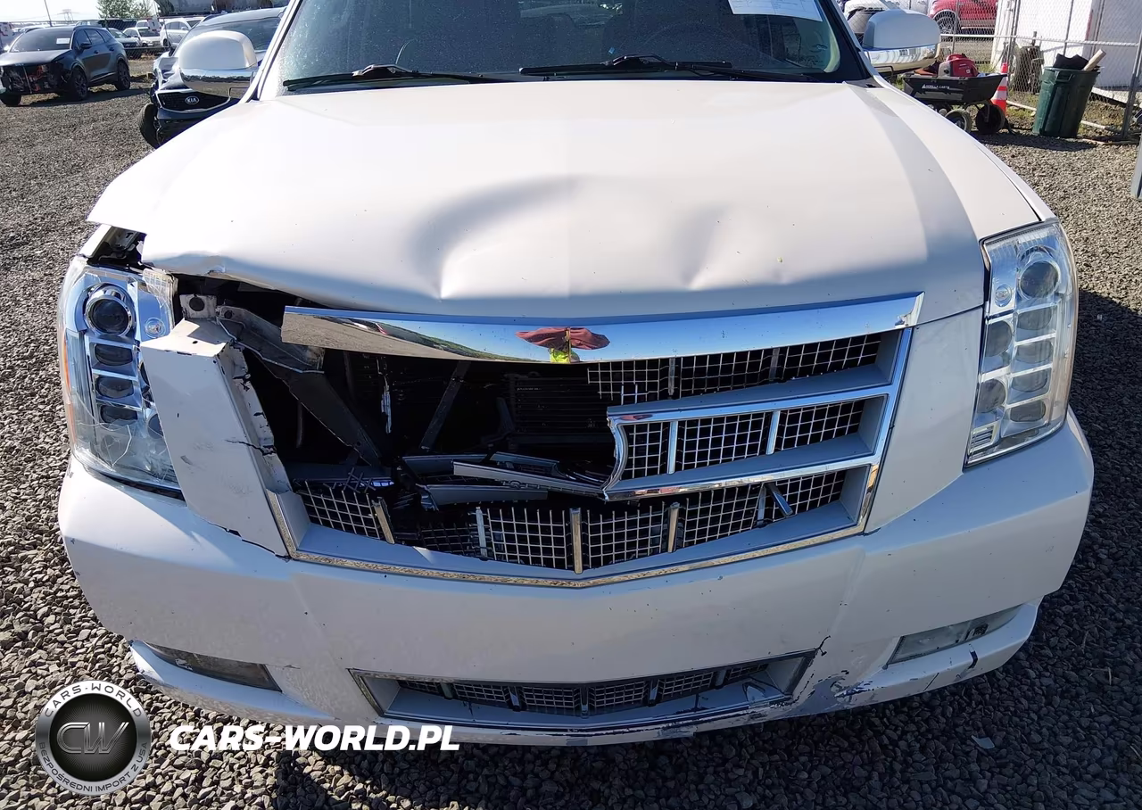 2014 Cadillac Escalade Esv Platinum Edition VIN:1GYS4KEF4ER172633 - 6