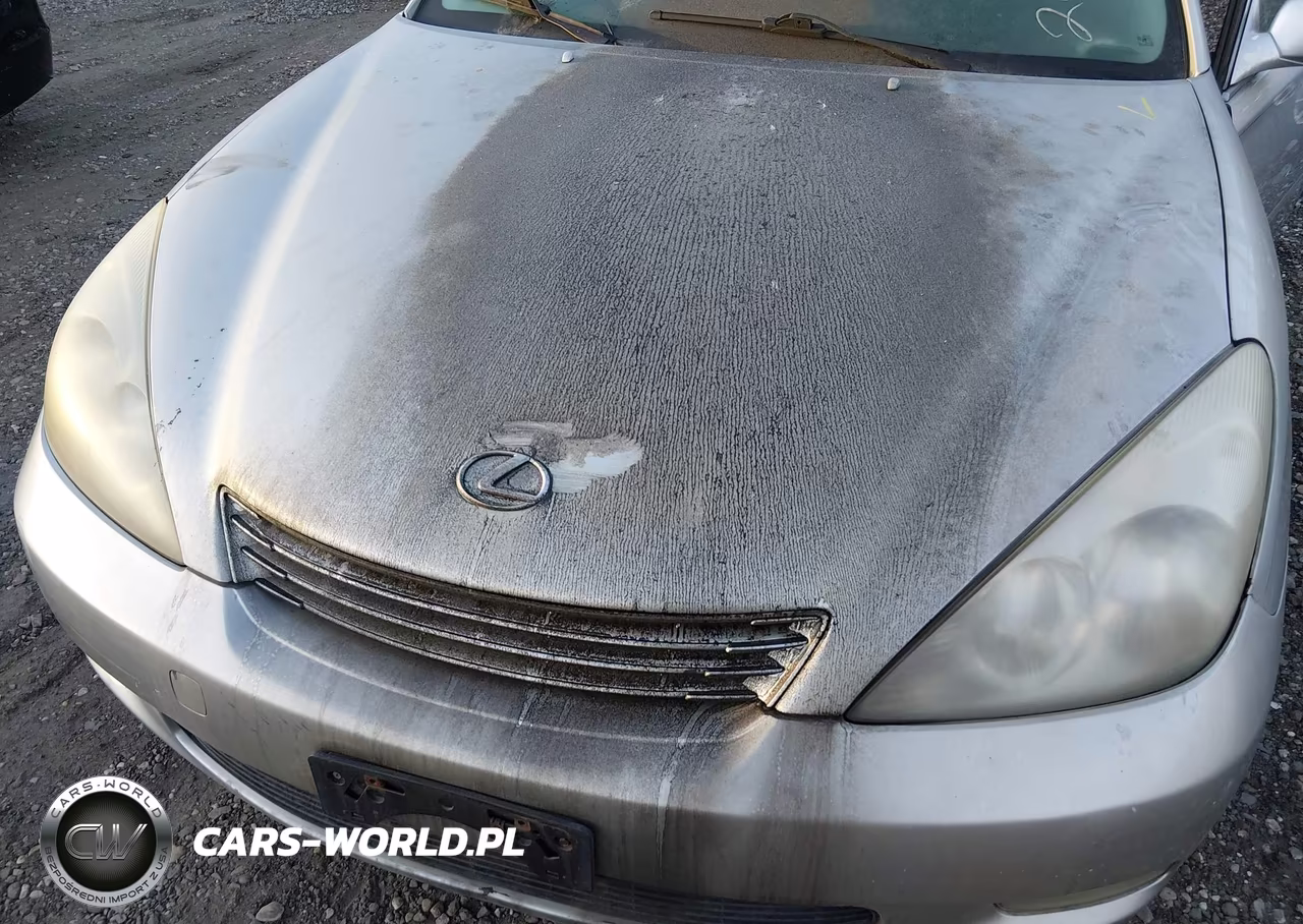 2002 Lexus Es 300 VIN:JTHBF30G120054205 - 10