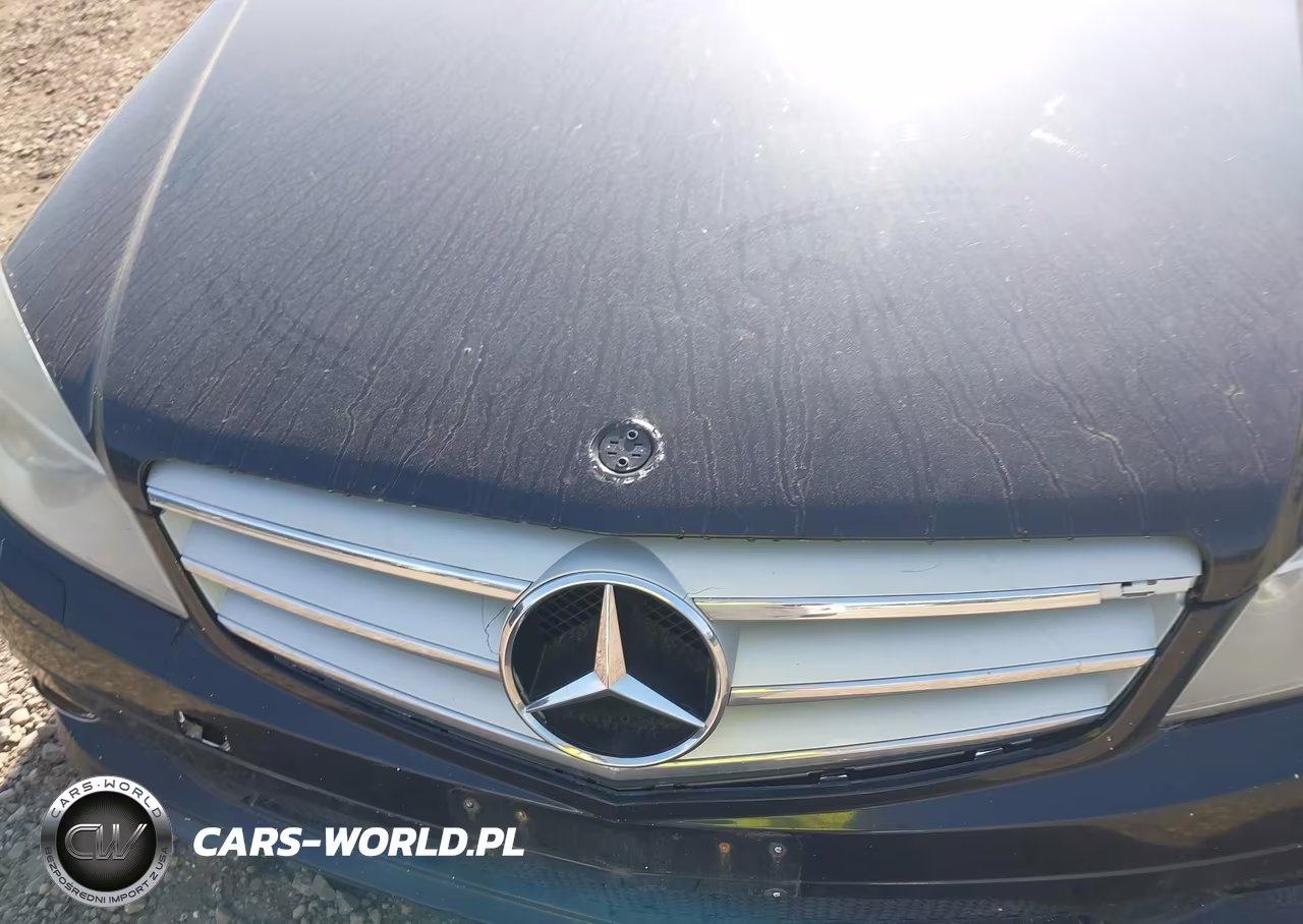 2009 Mercedes-Benz C 300 Luxury 4Matic-Sport 4Matic VIN:WDDGF81X59F248770 - 10
