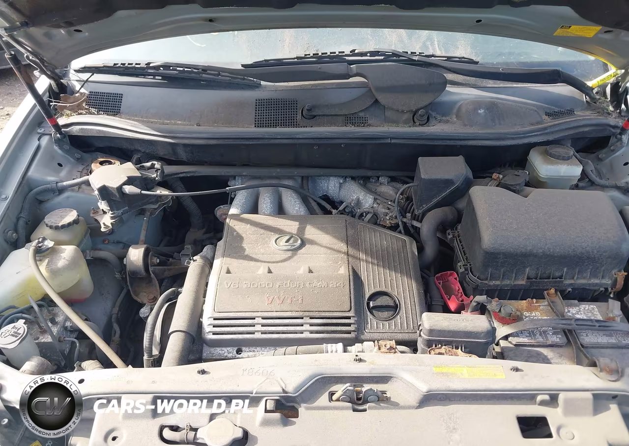 2002 Lexus Rx 300 VIN:JTJHF10U320244817 - 10