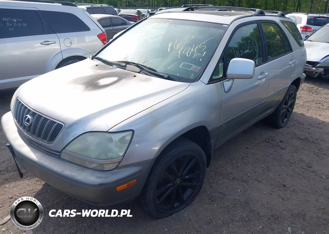 2002 Lexus Rx 300 VIN:JTJHF10U320244817 - 2