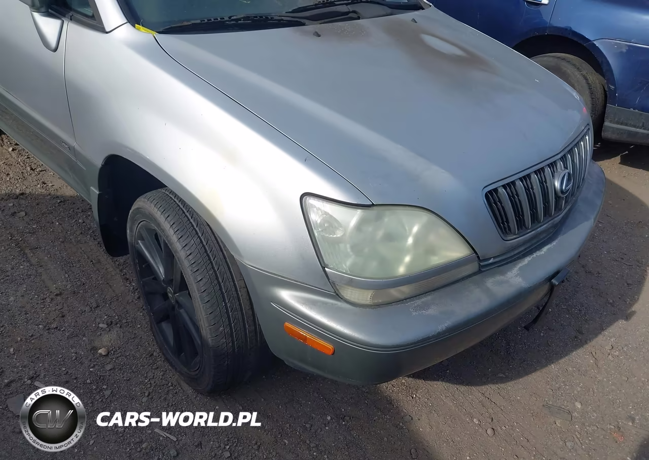 2002 Lexus Rx 300 VIN:JTJHF10U320244817 - 6