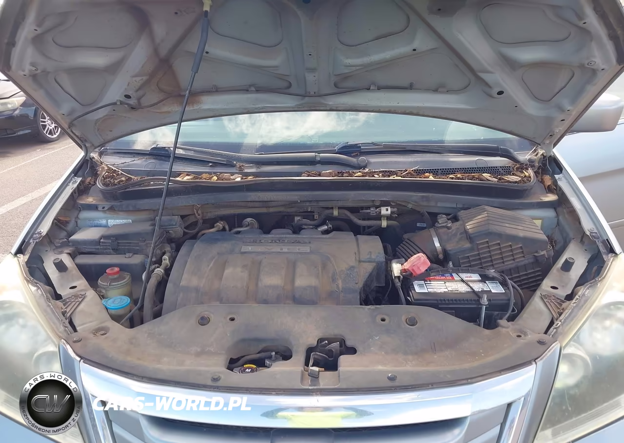 2009 Honda Odyssey Ex VIN:5FNRL38479B041800 - 10
