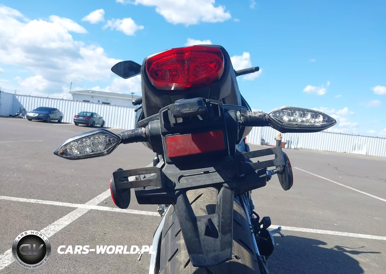 2023 Yamaha Mtn1000 D VIN:JYARN81E3PA000432 - 18