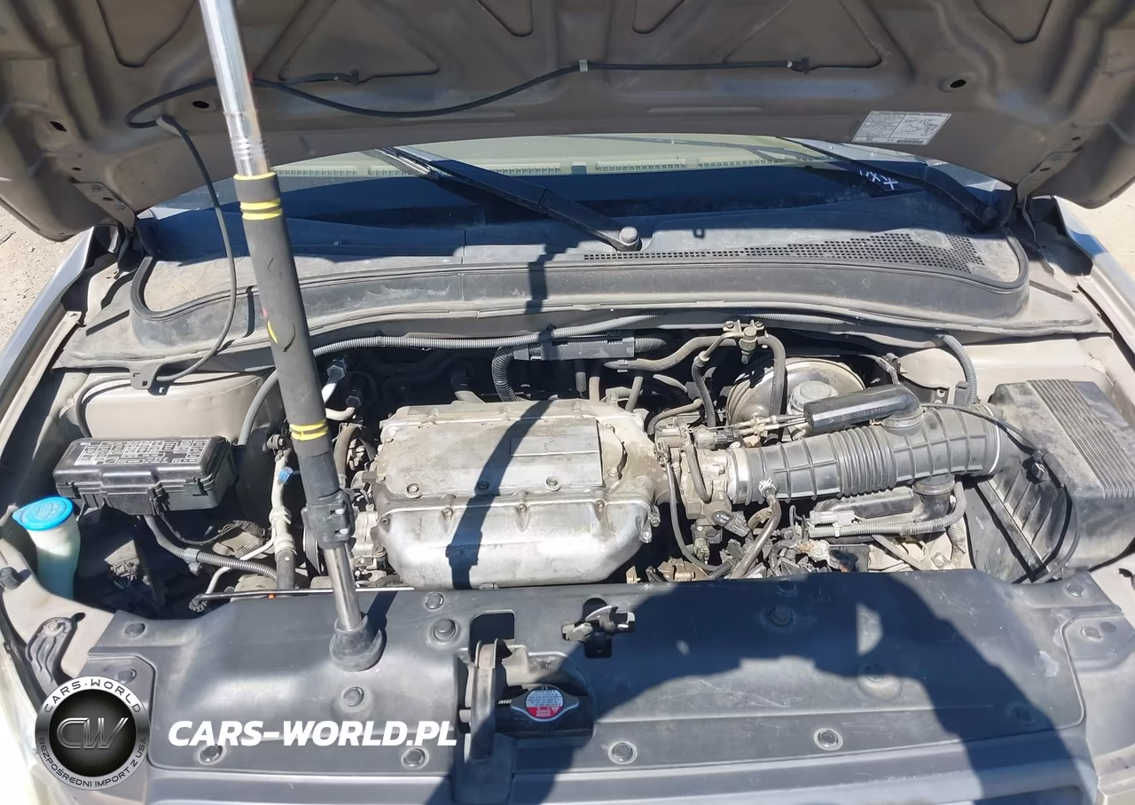 2004 Honda Pilot Ex-L VIN:2HKYF18594H595432 - 10
