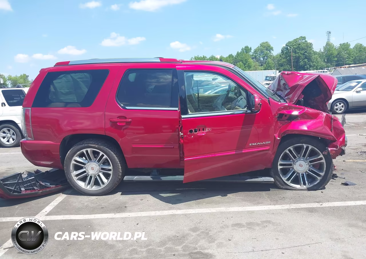2014 Cadillac Escalade Premium VIN:1GYS4CEF1ER108572 - 13