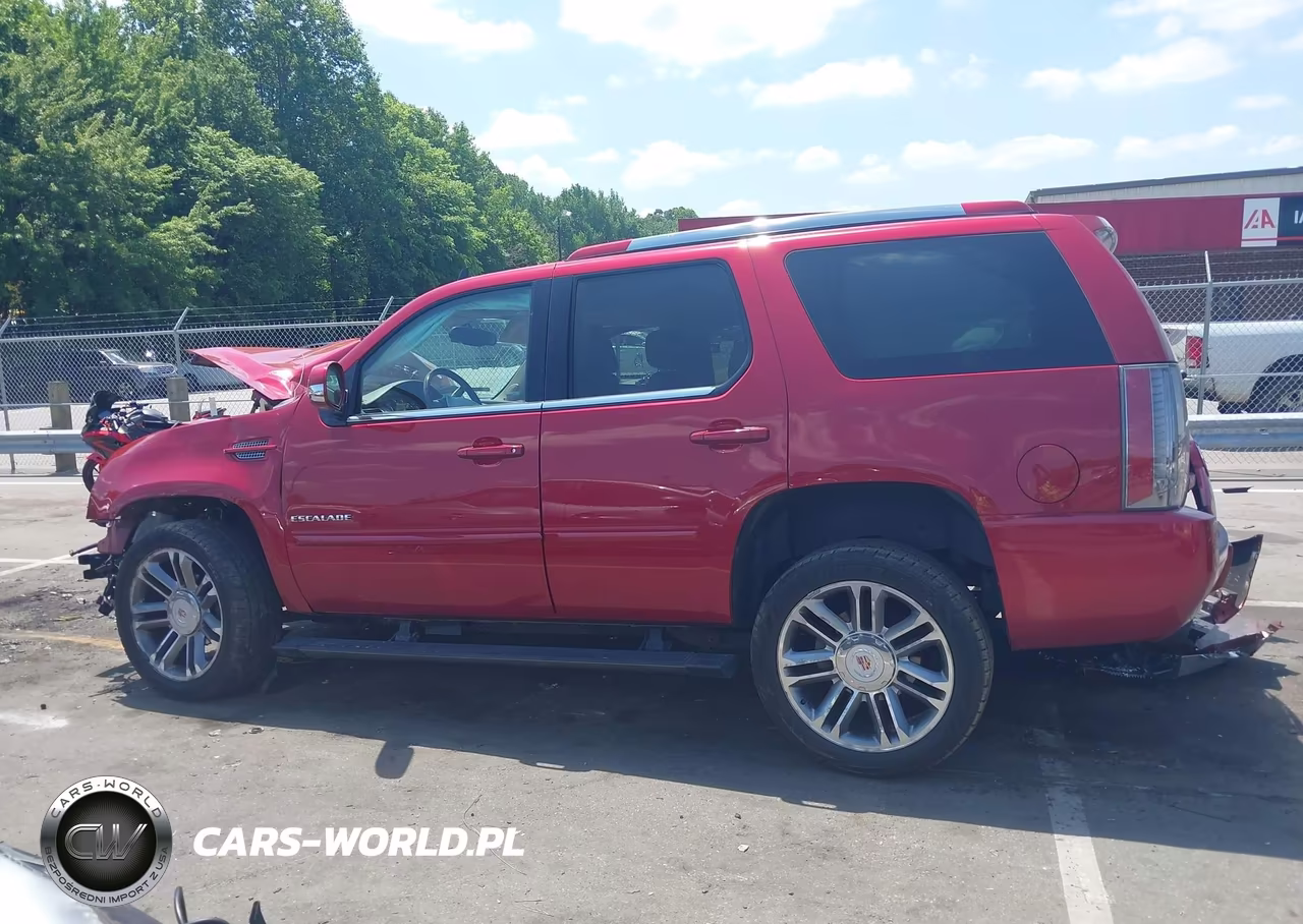 2014 Cadillac Escalade Premium VIN:1GYS4CEF1ER108572 - 14