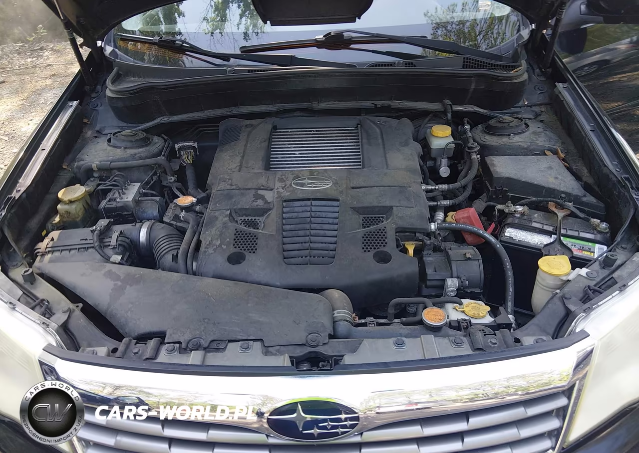 2010 Subaru Forester 2.5Xt Limited VIN:JF2SH6FC6AH768348 - 10