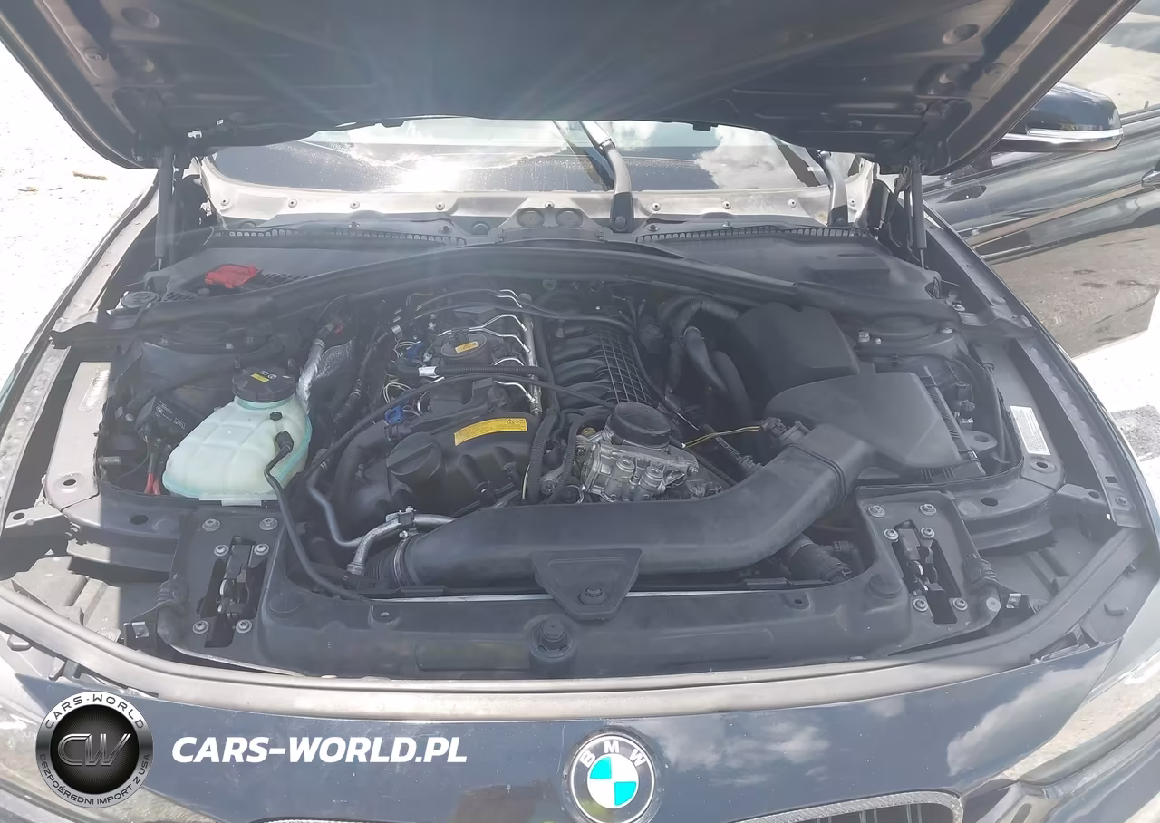 2014 BMW 335I VIN:WBA3A9G56ENS64315 - 10