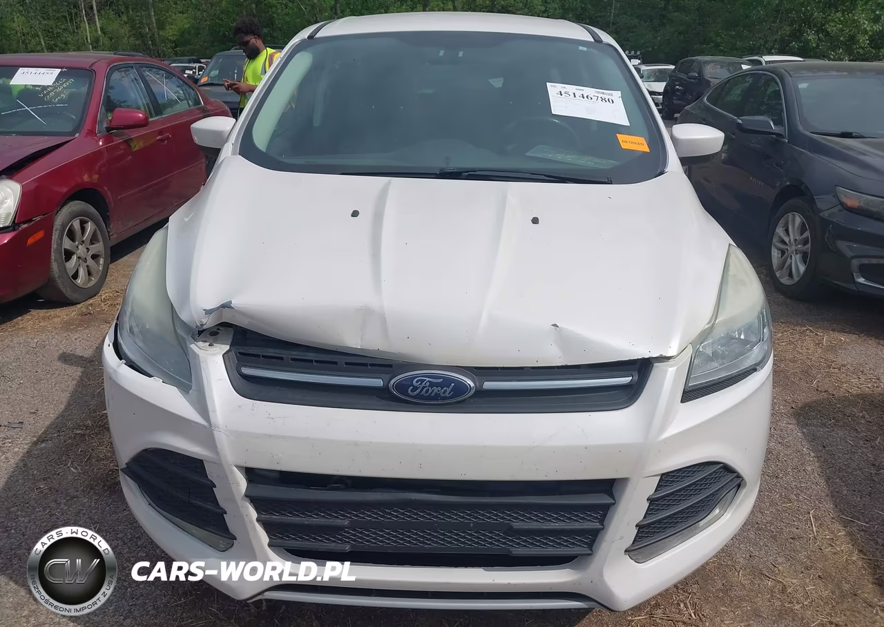 2014 Ford Escape Se VIN:1FMCU0GX5EUE09093 - 12