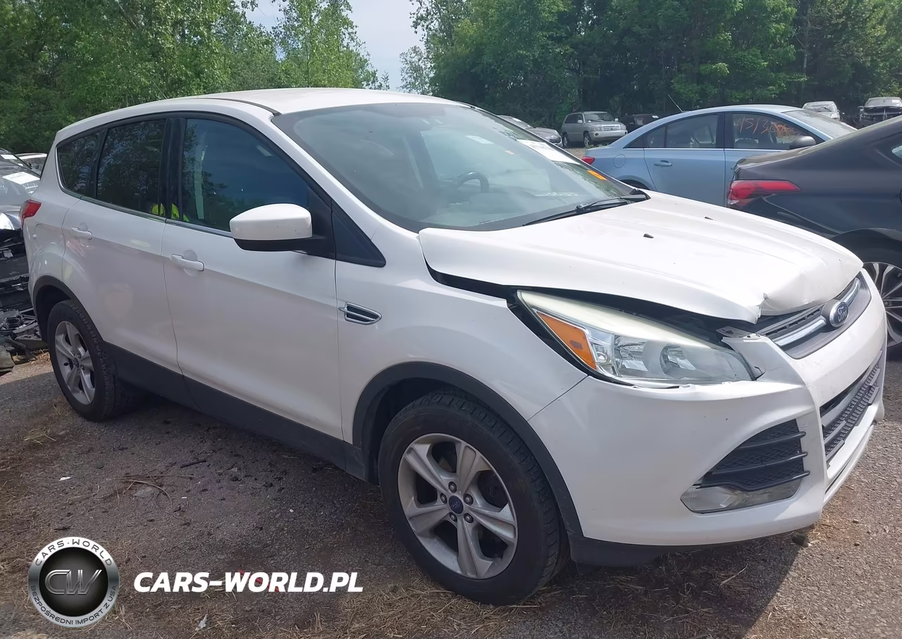 2014 Ford Escape Se VIN:1FMCU0GX5EUE09093 - 13
