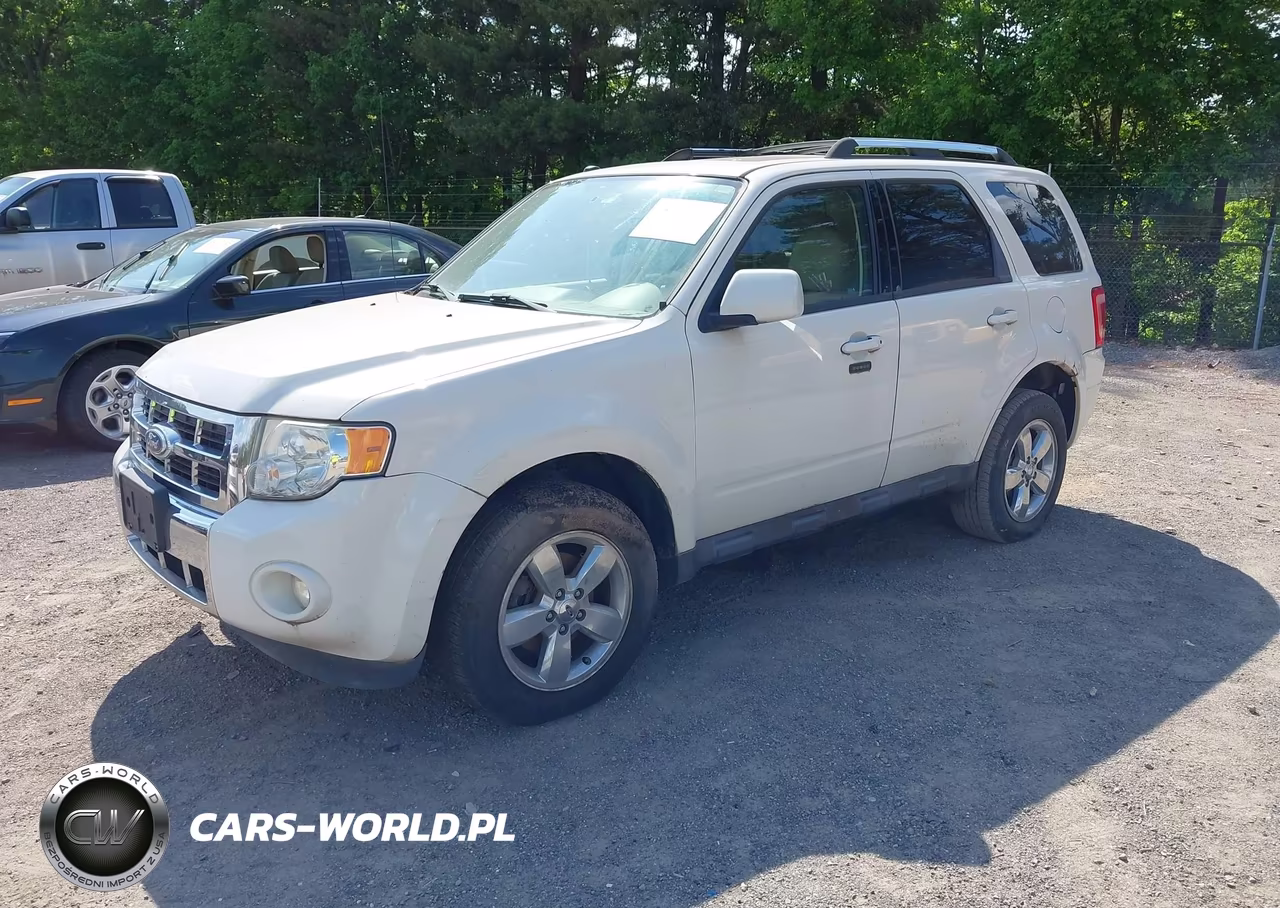2011 Ford Escape Limited VIN:1FMCU0EG1BKA32014 - 2