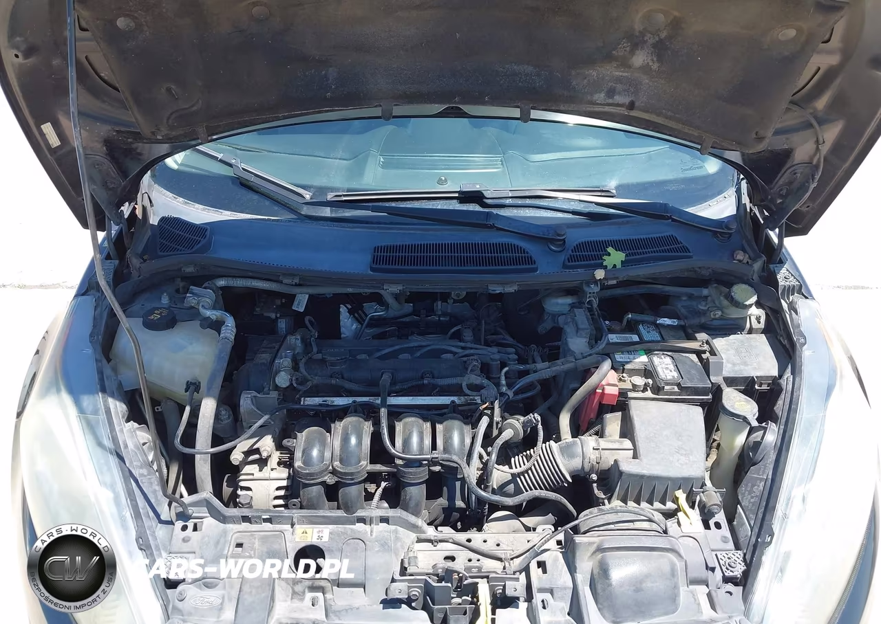 2014 Ford Fiesta Se VIN:3FADP4EJ3EM216571 - 10