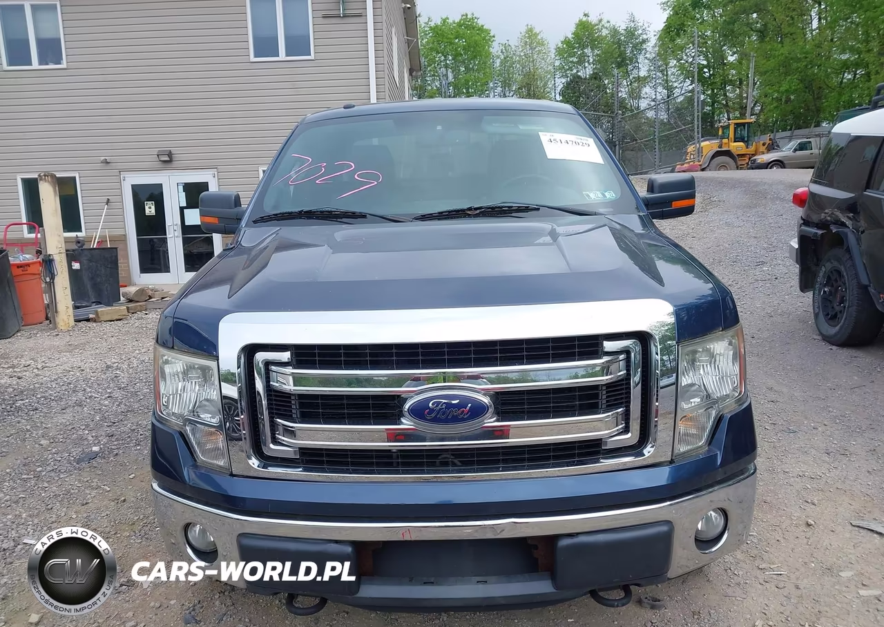 2013 Ford F-150 Xlt VIN:1FTFX1EFXDFB89185 - 12