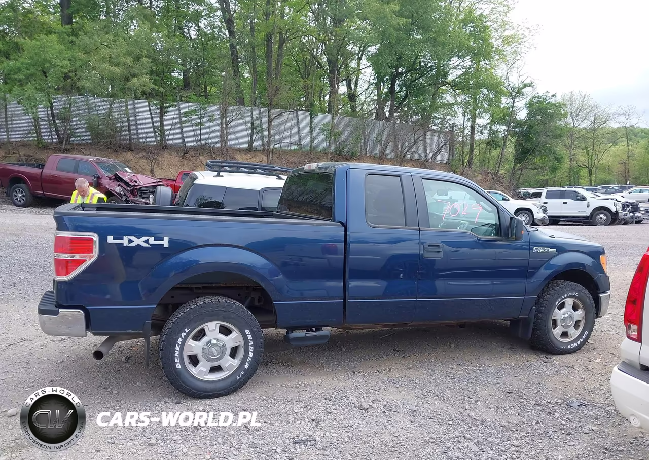 2013 Ford F-150 Xlt VIN:1FTFX1EFXDFB89185 - 13