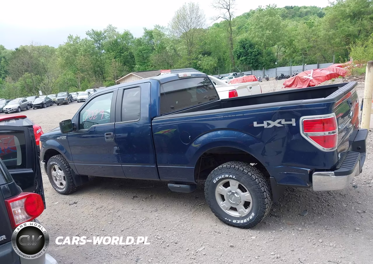 2013 Ford F-150 Xlt VIN:1FTFX1EFXDFB89185 - 14