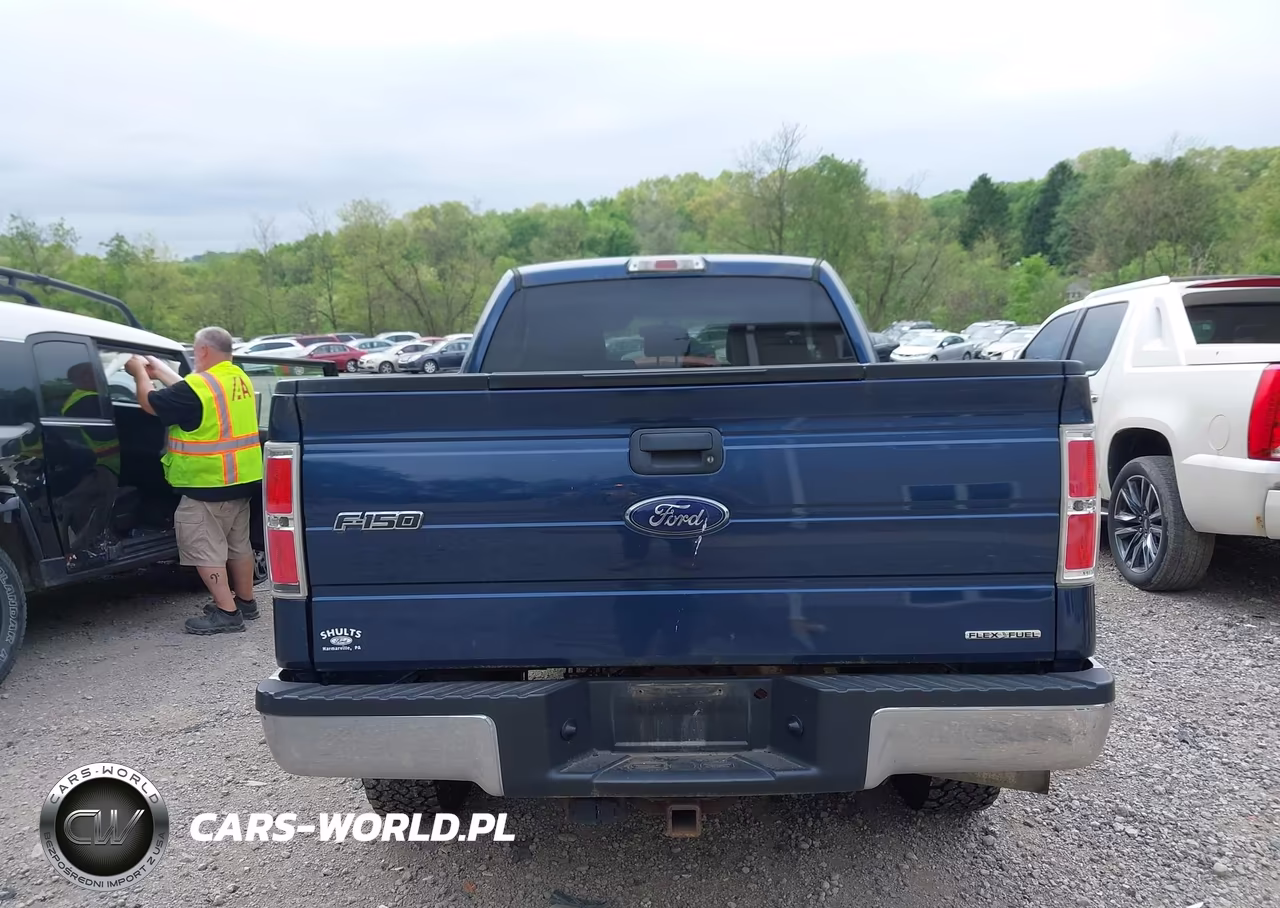 2013 Ford F-150 Xlt VIN:1FTFX1EFXDFB89185 - 16
