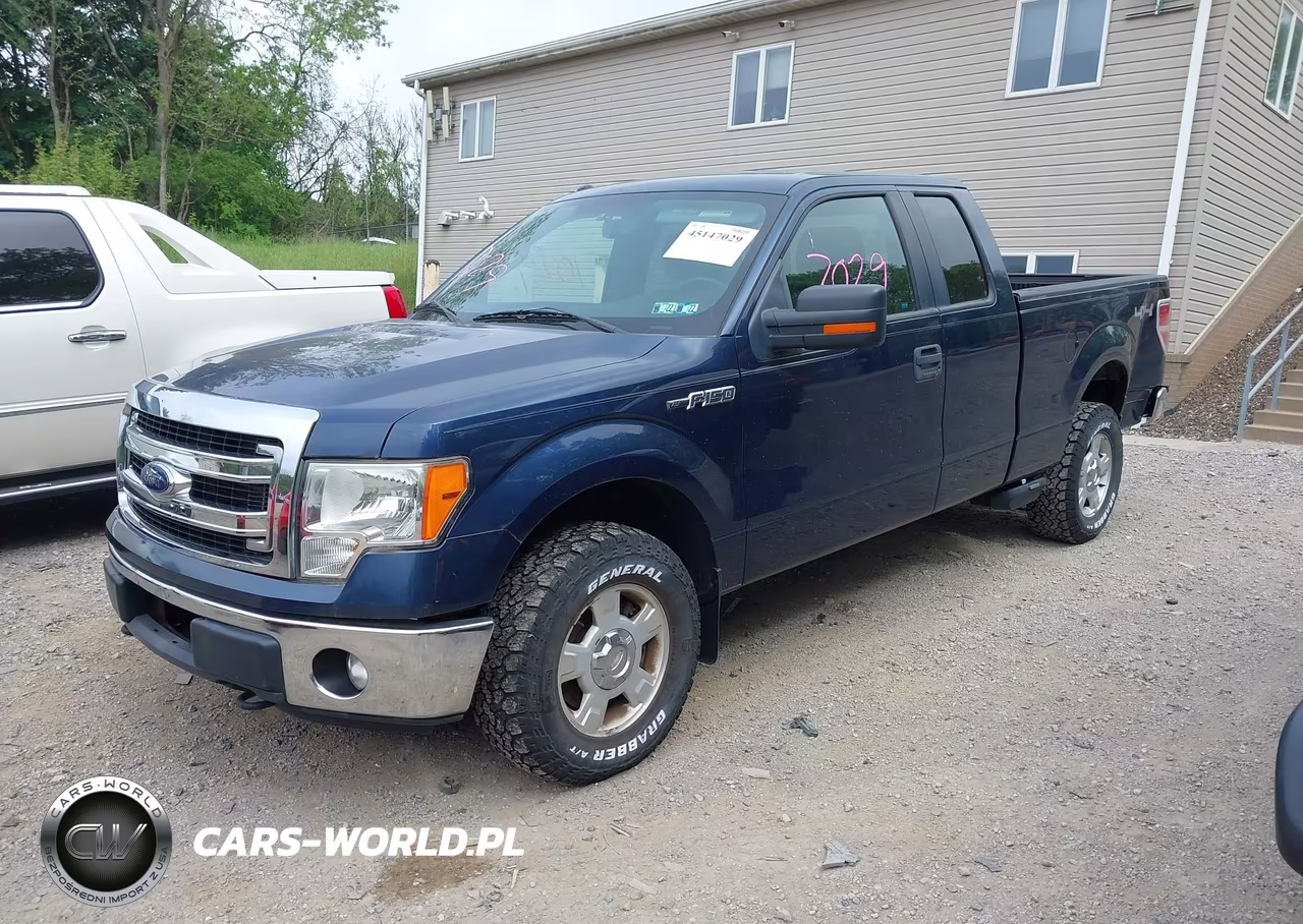 2013 Ford F-150 Xlt VIN:1FTFX1EFXDFB89185 - 2