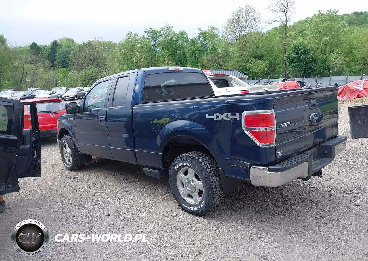 2013 Ford F-150 Xlt VIN:1FTFX1EFXDFB89185 - 3