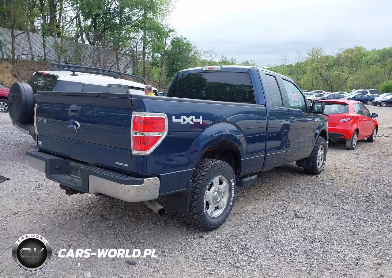 2013 Ford F-150 Xlt VIN:1FTFX1EFXDFB89185 - 4