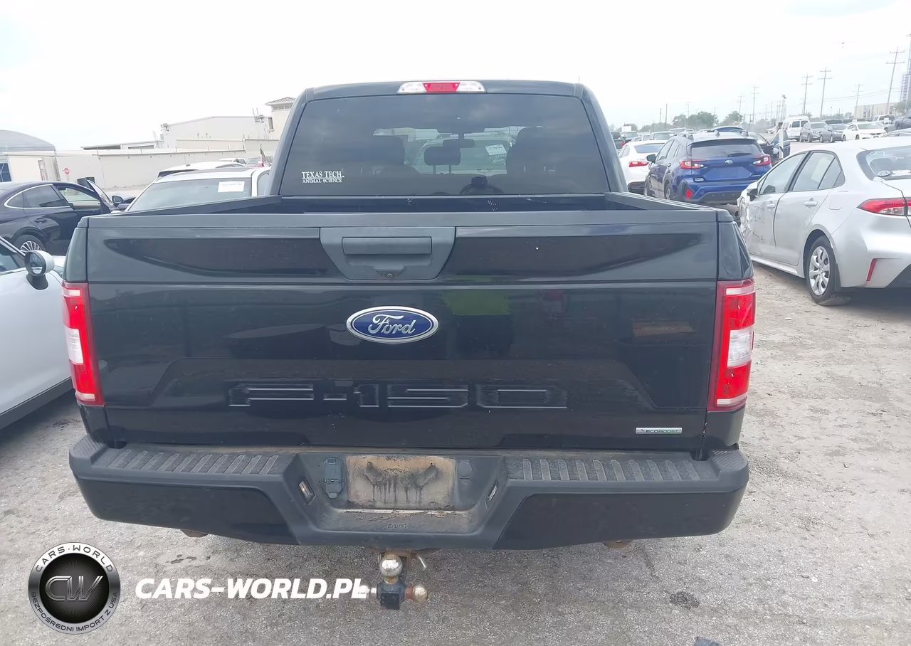 2020 Ford F-150 Xl VIN:1FTEW1CP5LKD43267 - 16