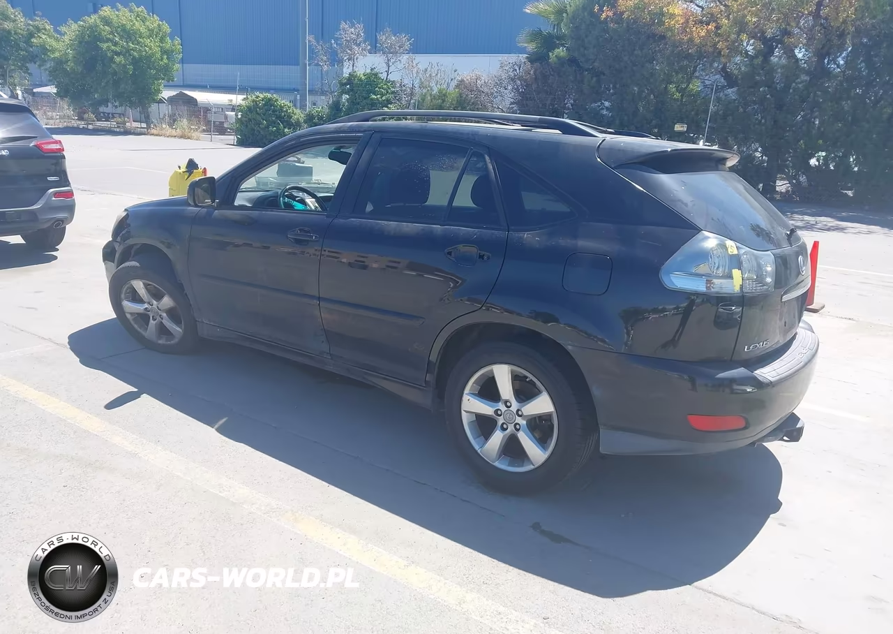 2004 Lexus Rx 330 VIN:JTJHA31U340034973 - 3