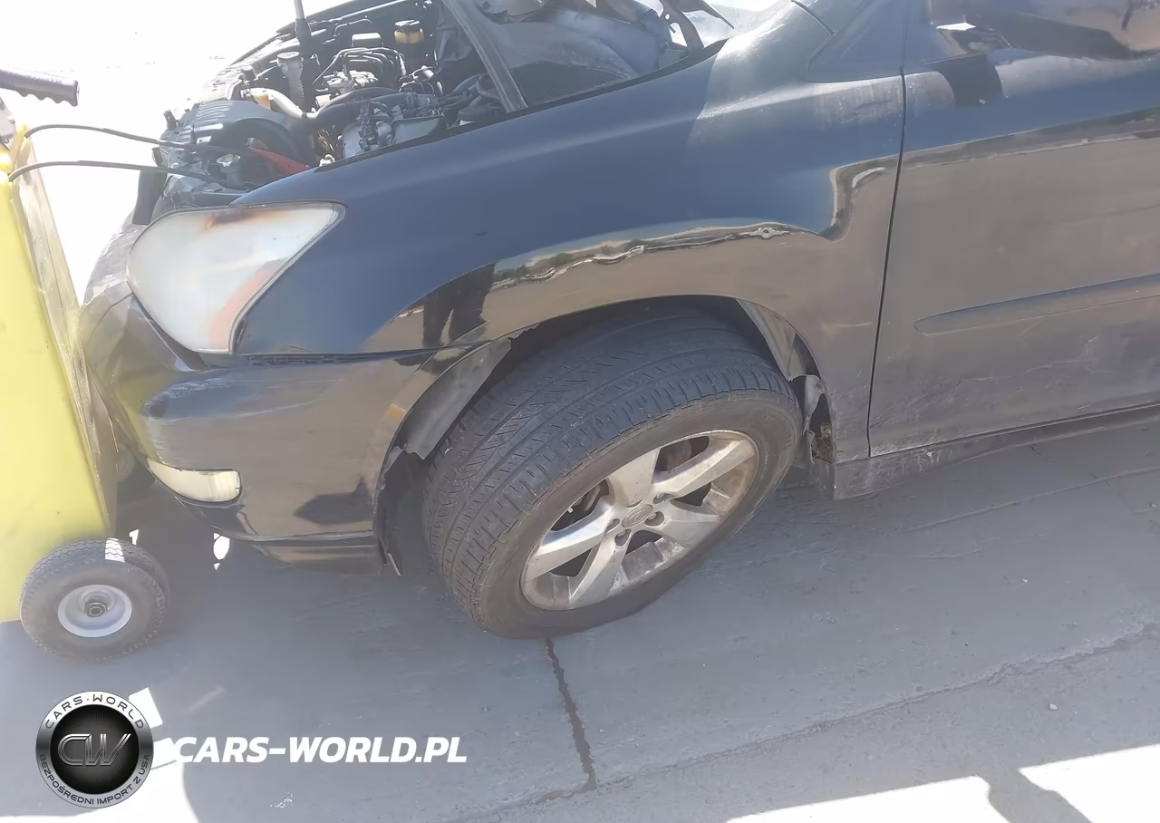 2004 Lexus Rx 330 VIN:JTJHA31U340034973 - 6