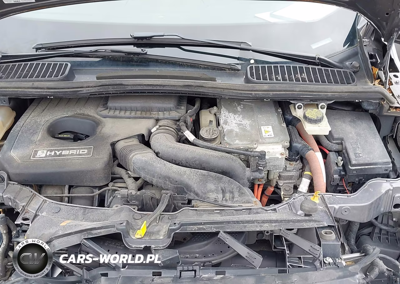 2013 Ford C-Max Hybrid Sel VIN:1FADP5BU1DL520258 - 10
